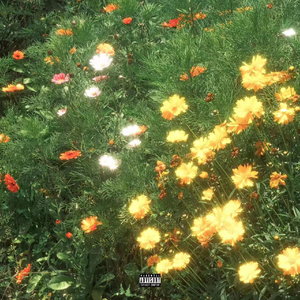 91精品国产综合久久久不打电影
