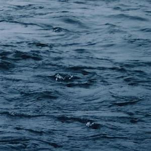 91精品国产综合久久久不打电影
